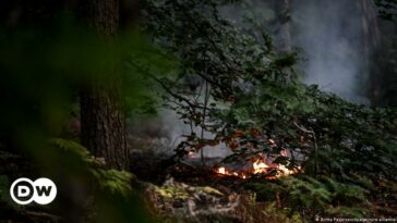 Alemania: Servicios de bomberos cerca de un depósito de explosivos mientras arde un incendio forestal en Berlín