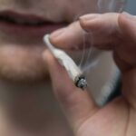 Alemania legalizará el cannabis, pero nadie sabe cuándo