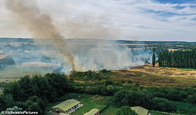 Alrededor de las 2:30 p. m., las llamas arrasaron el antiguo campo de golf en el área de Sandhole, justo al lado de Malling Road.
