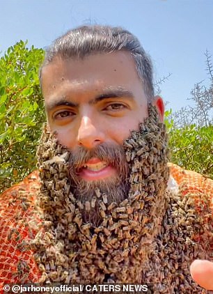 Johny tiene una rutina de aseo inusual, lo que permite que cientos de sus queridas abejas hagan de su vello facial su hogar.