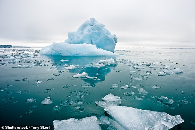 El Ártico se está calentando casi cuatro veces más rápido que el resto del mundo, revela un nuevo estudio.  En la imagen, témpanos de hielo marino derritiéndose en aguas tranquilas del norte del Ártico.