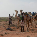 El Papa pide ayuda para Somalia afectada por la sequía |  The Guardian Nigeria Noticias