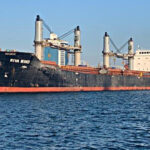 El carguero Fulmar S llega al puerto de Chornomorsk