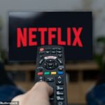Netflix presentará un nuevo plan de suscripción más económico con anuncios, probablemente a principios de 2023 (foto de archivo)