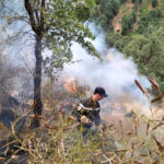 El número de muertos por incendios forestales en Argelia aumenta a 37 - Ennahar TV