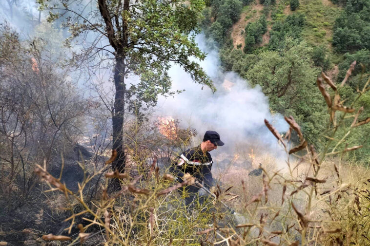 El número de muertos por incendios forestales en Argelia aumenta a 37 - Ennahar TV