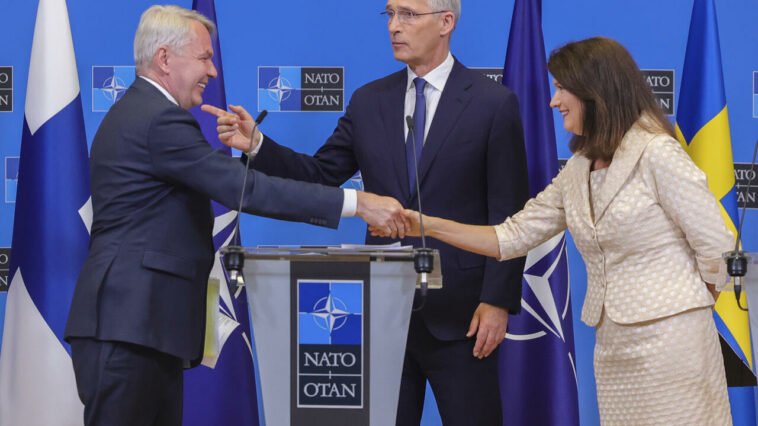 El parlamento francés respalda la adhesión de Suecia y Finlandia a la OTAN