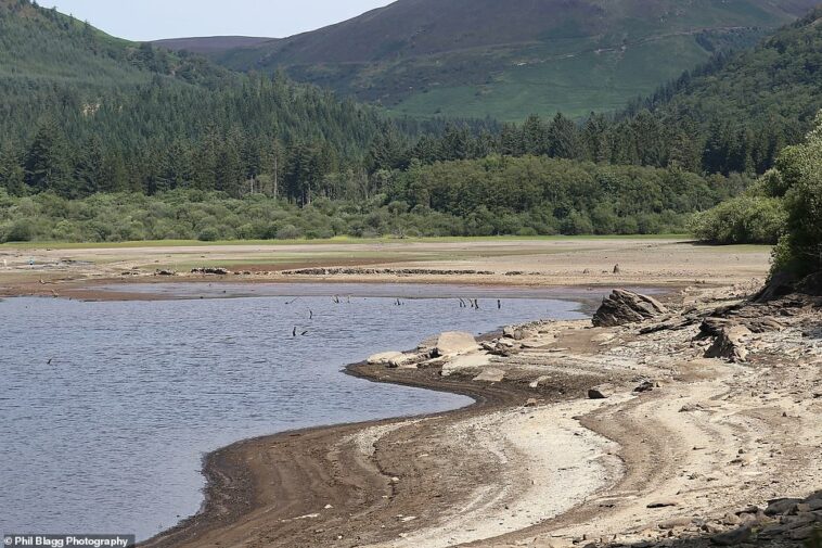 El pueblo submarino de Llanwddyn ha quedado expuesto debajo de la superficie del lago Vyrnwy debido a semanas de clima seco.