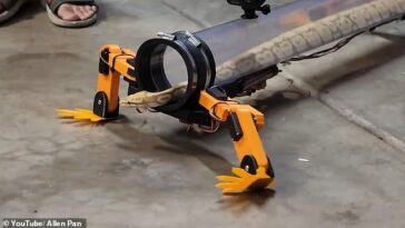Allen Pan, un ingeniero y YouTuber con sede en California, creó el dispositivo a partir de un tubo de plástico y cuatro patas robóticas que se modelaron en un lagarto.