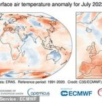 Sofocante: el mes pasado fue uno de los tres julios más cálidos registrados a nivel mundial, según muestran los datos satelitales, mientras que para el suroeste de Europa fue el más cálido en términos de calor máximo.