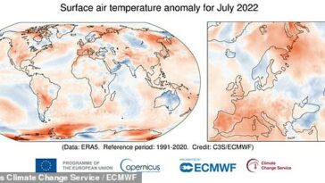 Sofocante: el mes pasado fue uno de los tres julios más cálidos registrados a nivel mundial, según muestran los datos satelitales, mientras que para el suroeste de Europa fue el más cálido en términos de calor máximo.