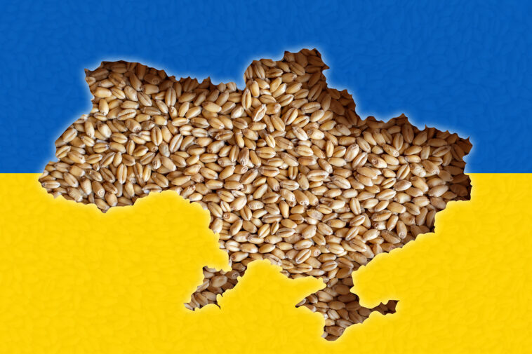 La Guerra Rusia-Ucrania y el Armamento de los Alimentos - Fair Observer