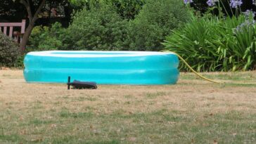 Un londinense descarado decidió llevar su piscina infantil a St George's Square en Pimlico, para usar el grifo del ayuntamiento para llenarla.  El Consejo de Westminster dijo que el agua debe usarse solo para plantas y arbustos.  Agregó: