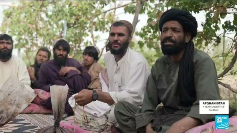 Los agricultores afganos temen que la prohibición de los talibanes a la producción de opio los deje en la indigencia