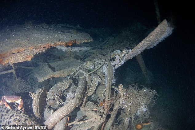 El esqueleto del USS Jacob Jones fue encontrado el jueves por un equipo de buzos británicos expertos.