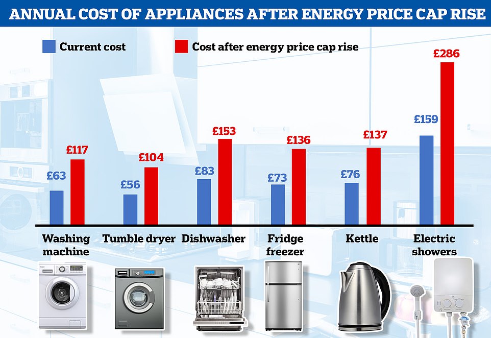 Los electrodomésticos que consumen mucha energía duplicarán su factura anual de electricidad después del aumento del límite de precios
