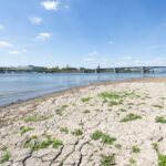 Los niveles de agua del río Rin alcanzan nuevas profundidades, pero se pronostica lluvia