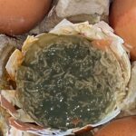 Alice Evans encontró cientos de gusanos arrastrándose dentro de uno de sus huevos recién comprados que se había abierto