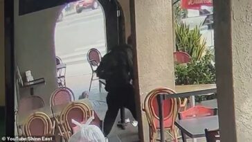 Un anciano fue atacado mientras comía con su perro afuera de una pizzería en Hollywood el 1 de agosto por un cabrón sin hogar.