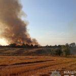 Plantaciones de trigo destruidas por el incendio provocado por el bombardeo ruso de la región de Zaporizhzhia