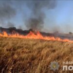 Plantaciones de trigo destruidas por el incendio provocado por el bombardeo ruso de la región de Zaporizhzhia