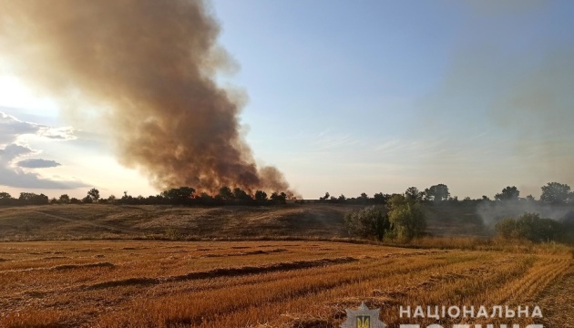 Plantaciones de trigo destruidas por el incendio provocado por el bombardeo ruso de la región de Zaporizhzhia
