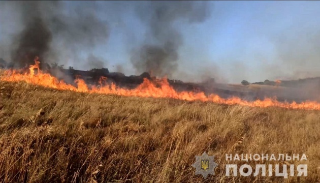 Plantaciones de trigo destruidas por el incendio provocado por el bombardeo ruso de la región de Zaporizhzhia
