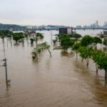 Seúl busca prohibir los sótanos tras las muertes por inundaciones