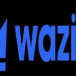'Sin afiliaciones, desconociendo el propósito de las transacciones', WazirX en la última investigación ED