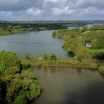 South East Water anuncia la prohibición de las mangueras mientras continúa la sequía en Gran Bretaña
