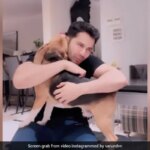 Varun Dhawan Came Home After 45 Days To The Best Welcome Ever