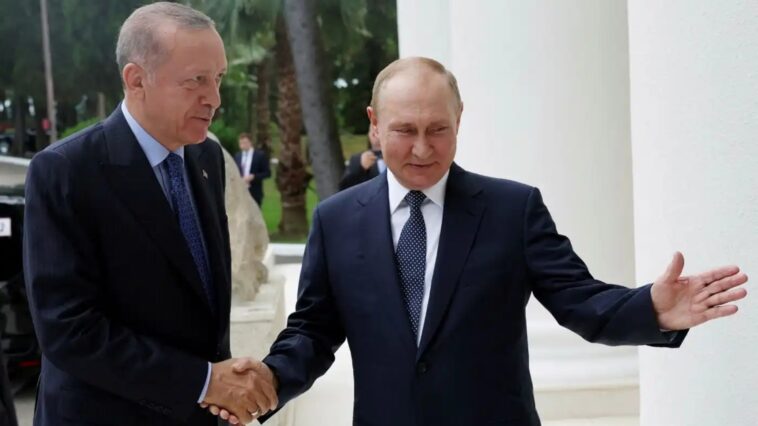 ¿Debe Occidente estar nervioso por los estrechos vínculos de Turquía con Rusia?