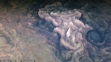 A primera vista, se le perdonará que confunda esta foto con un primer plano de la guinda de un delicioso pastelito.  Pero los remolinos y picos texturizados son en realidad nubes en los cielos de Júpiter, que fueron fotografiadas por la sonda Juno de la NASA.