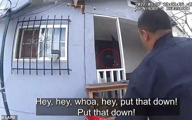 A medida que los oficiales se acercan a la casa, se puede ver a Luis Herrera, de 19 años, saliendo del frente de la casa agarrando lo que parecía ser un gran rifle negro.