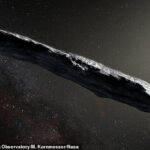 Los científicos en China dicen que es muy poco probable que el asteroide oblongo Oumuamua (visto arriba en la representación de un artista) que entró en nuestro sistema solar sea una nave espacial extraterrestre, a pesar de las afirmaciones de un controvertido profesor de Harvard en sentido contrario.