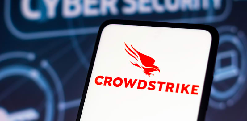 CrowdStrike  credit: Rafael Henrique Reuters