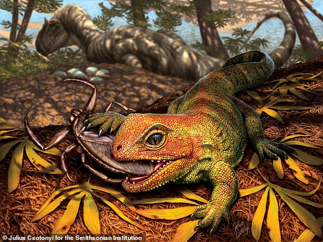 Una interpretación artística de una especie extinta recientemente descubierta de reptil parecido a un lagarto que pertenece al mismo linaje antiguo que el tuatara vivo de Nueva Zelanda.  El Opisthiamimus gregori recién descubierto se alimenta de un insecto de agua ahora extinto (Morrisonnepa jurassica), mientras que en el fondo el dinosaurio depredador Allosaurus jimmadseni protege su nido.