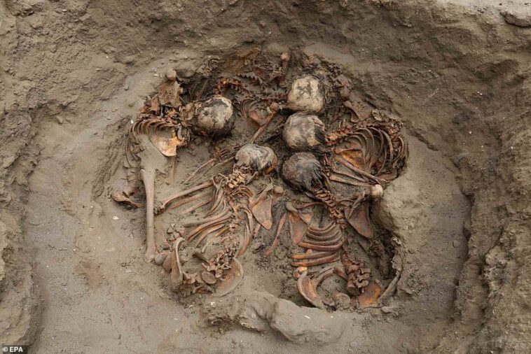 Una tumba contenía los restos de lo que los expertos creen que son cinco niñas.  Se colocaron cabeza a cabeza y sus cuerpos formaron un círculo.