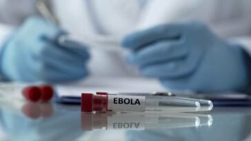 La OMS dice que el último brote de ébola en Uganda es menos letal que la cepa de la República Democrática del Congo