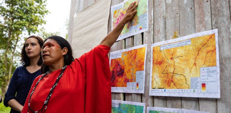 Los defensores indígenas se interponen entre los caminos ilegales y la supervivencia de la selva amazónica: las elecciones en Brasil y Perú podrían ser un punto de inflexión