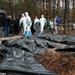 Los investigadores llevan una bolsa para cadáveres más allá de varios cadáveres en el suelo del bosque, cerca de Izyum, en el este de Ucrania, hoy.