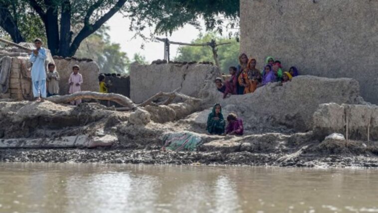 Pakistán lucha para evitar el peligro a medida que aumentan las inundaciones, el número de muertos supera los 1.300
