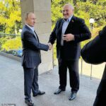 Alexander Lukashenko (derecha) le da la mano a Vladimir Putin en una reunión en Sochi, Rusia.