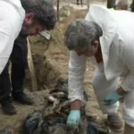 Sitio de tumbas en Ucrania: los investigadores continúan exhumando cuerpos fuera de Izium