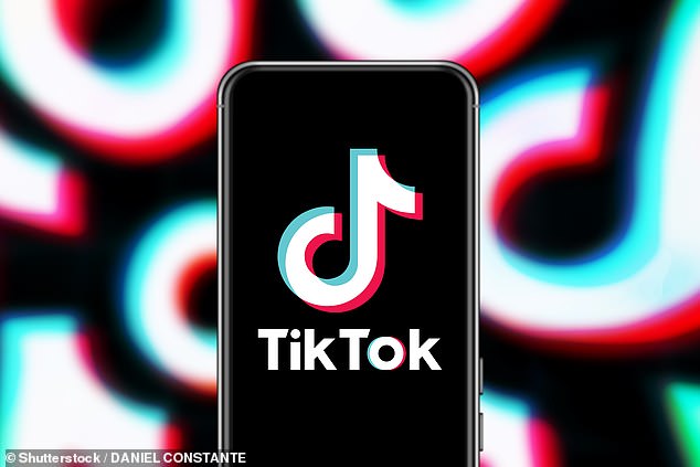 TikTok finalmente parece estar nuevamente en línea luego de una interrupción de una hora que dejó a miles de usuarios en todo el mundo sin poder acceder a la aplicación.