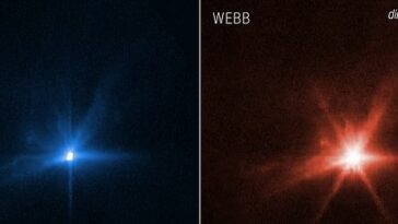 Las sorprendentes consecuencias de la misión de la NASA de estrellar deliberadamente una nave espacial contra un asteroide a 14,000 mph han sido captadas por dos de los telescopios más poderosos del mundo.  La imagen del Hubble en luz visible se muestra a la izquierda y la de Webb en infrarrojo se muestra a la derecha