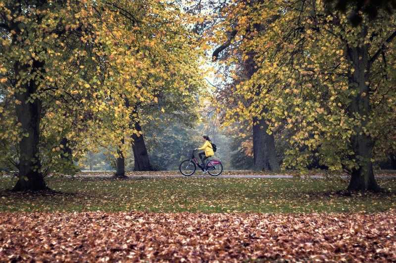 Las mejores escapadas rurales para este otoño