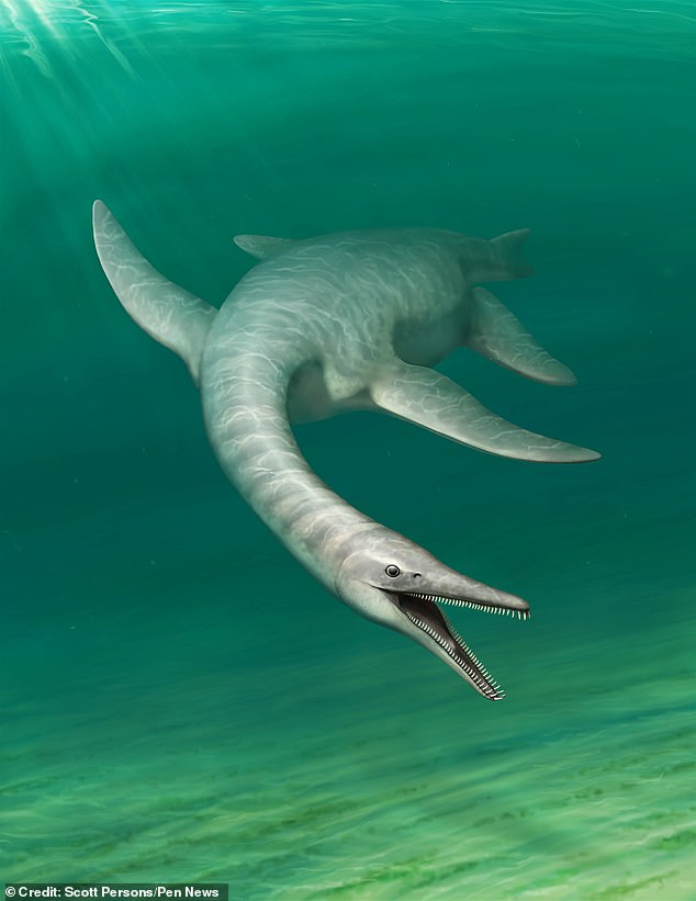 Una extraña bestia marina prehistórica con un cuello más largo que el de una jirafa y una cabeza parecida a la de un cocodrilo ha sido descubierta 70 millones de años después de que acechara en los océanos.