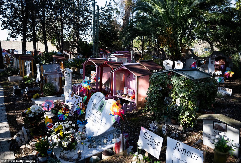 ROMA: Tumbas decoradas en el cementerio de animales en Roma se ven el 5 de octubre (en la foto)