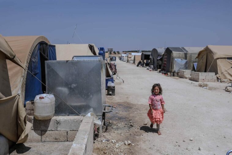El régimen sirio se apodera de las tierras de cultivo de las personas desplazadas en Idlib, según los informes
